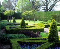 Hedged parterre with topiary cones