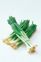 Bunches of Spring Onions