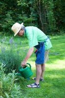 Man watering border in herb garden