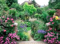Colourful suburban garden with annual bedding plants