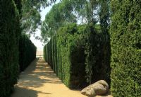 Gravel path lined with evergreen hedging at Garangula, Harden, New South Wales, Australia