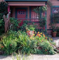 Front garden with sculpture beside women of paradise pot and tulips - San Francisco