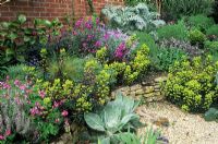 Dry garden with raised bed containing Euphorbia, Erysimum, Dicentra, Verbascum and Cardoon - Thursley Lodge, Surrey 