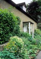 Shady front garden infront of house with raised bed of Corydalis, Astrantia, Geranium phaeum, Fern and Laurel - Snape Cottage, Dorset