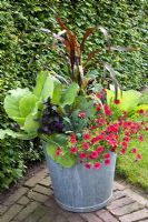 Vegetables and flowers in pot 