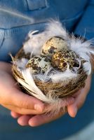 Young girl holding small nest of eggs - Easter