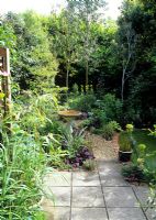 Small town garden with extensive planting of foliage plants and Betula 