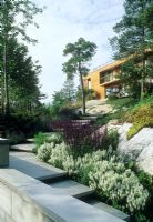 Contemporary minimalist country garden with rocky outcrop and Salvia. House at top of hill - Villa Solberget, Stocksund, Sweden

  


