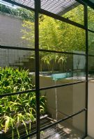 Contemporary water feature with glass lip and bamboo screen viewed through window of house - Wentworth Road, Vaucluse, NSW, Australia