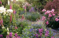 Cottage garden with Rosa, Nigella and Digitalis