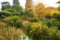 Bog garden in autumn with Onoclea sensibilis, Lobelia, Deschampsia, Ligularia, Bergenia and ferns