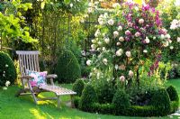 Sun lounger on lawn beside climbing Rose and Clematis viticella 'Etoile Violette' 