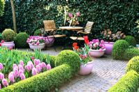 Small seating area on a patio surrounded by container plantings and beds of Tulipa and Hyacinthus orientalis 'Splendid Cornelia'