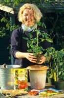 Woman planting Tomato plant in pot