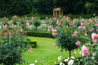 The Rose Garden at Highnam Court, Gloucester