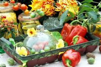 Collection of harvested and preserved vegetables from potager