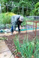 Man sowing seeds on his allotment