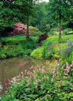 Spring woodland garden with stream and Polygonum in foreground