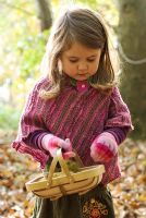 Little girl in the woods collecting Castanea sativa - Sweet Chestnuts in a basket in Autumn