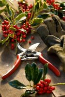 Still life - Secateurs, gloves and cut Holly on a table