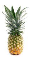 Ananas comosus - Pineapple