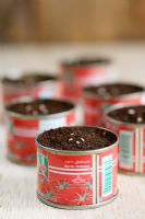 Tomato seeds 'Gardeners Delight', sown in recycled tomato puree tins.