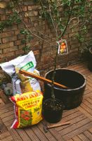 Apple tree in container - What you will need. 1m tree stake, 50cm half barrel, 80 litres of  compost, apple tree on dwarfing or semi-dwarfing rootstock, broken pieces of pot or stones