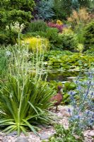 Eryngium x oliverianum and Eryngium agavifolium planted in a bed covered with pebbles and rocks - Pond with Nymphaea beyond