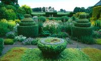 Flower garden with box topiary and yew hedging - Herterton House, nr Cambo, Morpeth, Northumberland