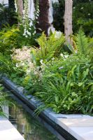 A Cadogan Garden with plant combination and water rill, Sponsor  - Cadogan Estates Ltd.  Design -  Robert Myers.  RHS Chelsea Flower Show 2008. Gold Medal Winner