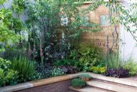 Raised border with herb pots and paved steps - Plants include Verbascum, Wisteria, Salvia, Anthriscus sylvestris 'Ravenswing', Alchemilla mollis, Astrantia, Aquilegia 'Nora Barlow' and Stipa gigantea
