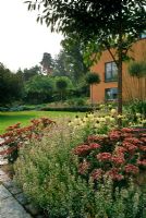 House front garden with planting of pink Sedum and white Echinacea under tree -  Garden in Stocksund, Sweden