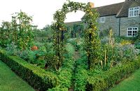 Apple arch and view of potager - Woodpeckers, Warwickshire