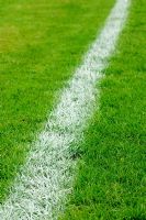 White line on grass
