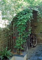 Bicycle shed in city garden