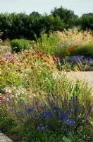 Late Summer perennial border including Agapanthus, Salvia, Galtonia and Monarda - Harvey's Garden Plants, Thurston, Suffolk