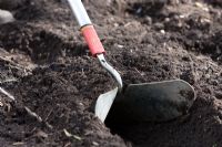 Planting Potatoes - Making trench