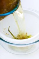 Making Elderflower cordial - Draining solution through sieve
