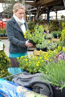 Lady buying plants in garden centre - Potentilla
