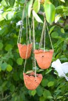 Hanging clay containers - Beauty and the Beasts Garden, Gardeners' World Live 2008