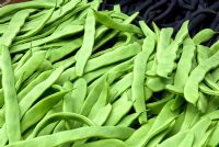 Phaseolus vulgaris 'Algarve' - Harvested Climbing French Beans at a farmers market