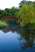 Willow bridge across pond with Salix x sepulcralis var. chrysocoma - Weeping willow and candelabra primulas to right.