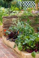 Raised vegetable bed in Dorset Cereals Edible Playground. Gold Medalist and Best in Show - RHS Hampton Court Flower Show 2008