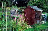 Sheds in local allotments - Passfield, Hampshire 