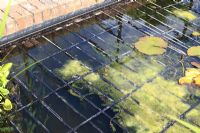 Pond safety - Metal mesh installed just below water surface prevents potential drowning