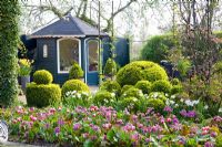 Summerhouse surrounded by Buxus topiary and Spring beds including Narcissus 'Thalia', Tulipa 'Wirosa' and Bergenia