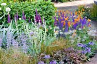 Mixed summer border at RHS Chelsea Flower Show 2008