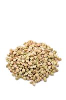 Fagopyrum esculentum - Buckwheat grains
