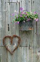Black pot with anemone blanda and twig heart hanging on wooden shed
