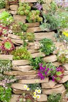 Rock-garden made from pile of stones with succulents and alpines